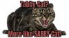 cat sab.jpg